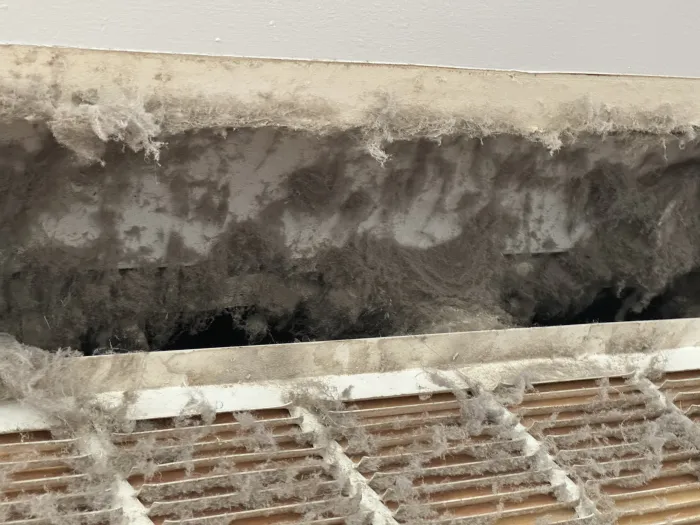 inside look at a air duct vent that is super fluffy and dirty with dust