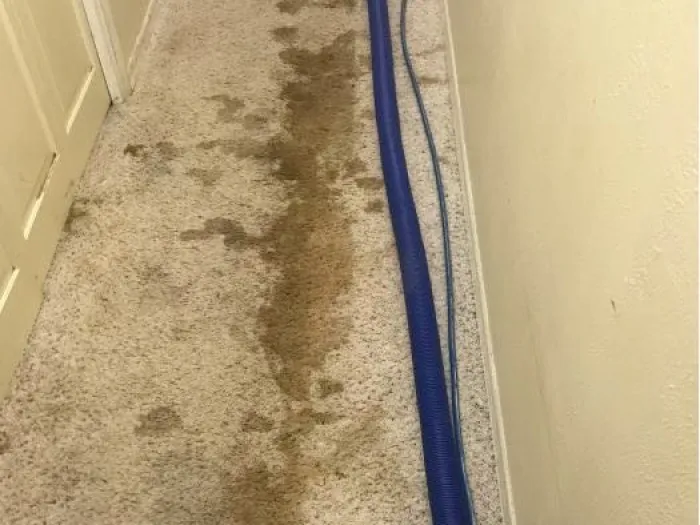 brown carpet stain in the middle of a narrow hallway