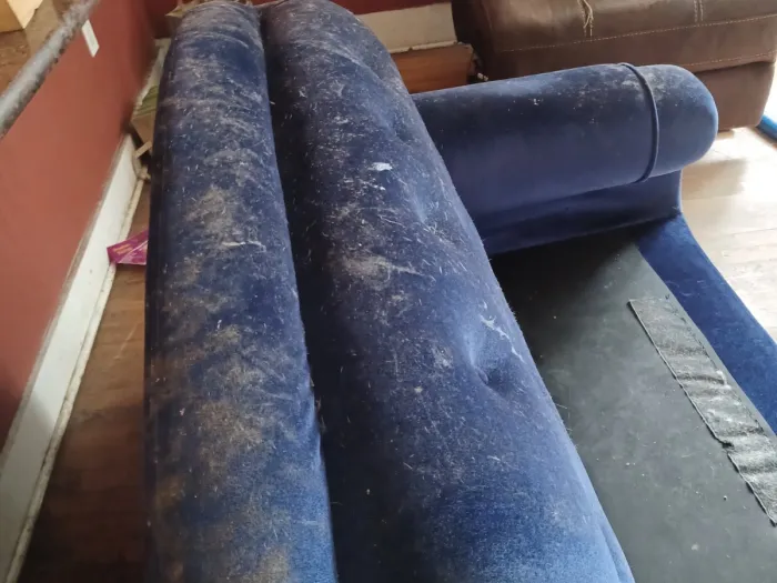 the back of a blue suede couch with dirt and pet hair on the back of it