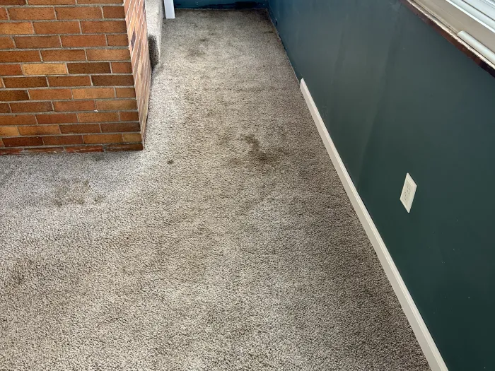 a carpet in a room with a brick wall with stained carpeting