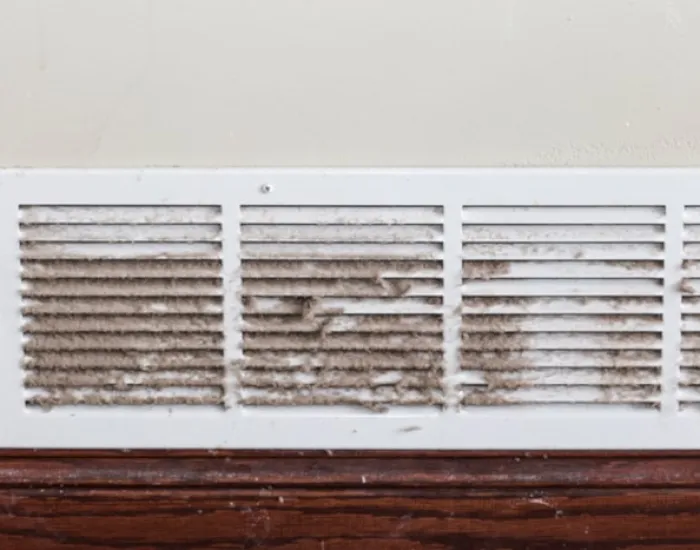 When our Atlanta air duct cleaning team gets to work, we do these things, too.