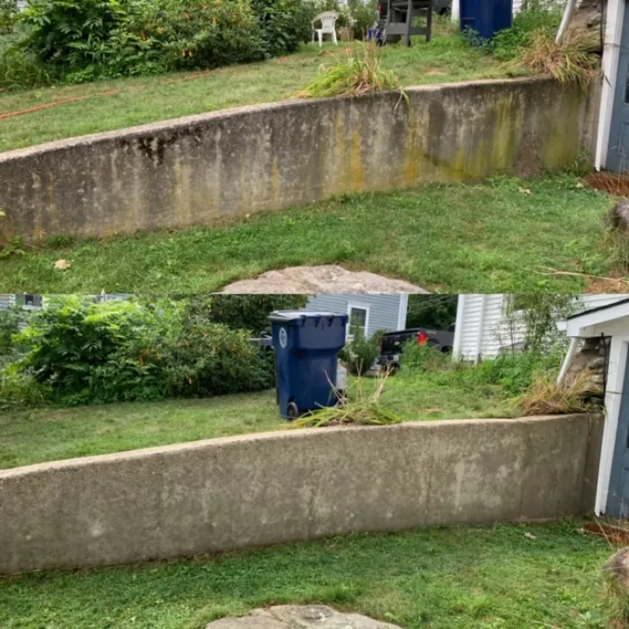 a blue garbage can in a yard