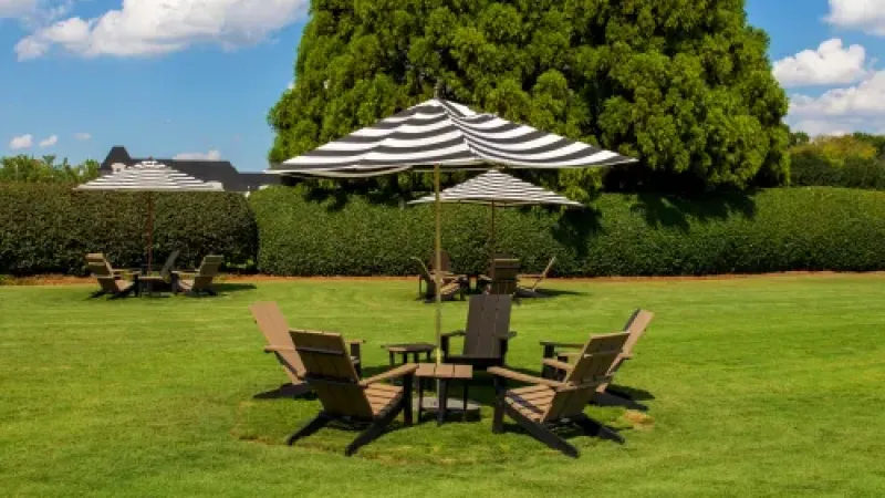 a group of chairs and umbrellas on a lawn