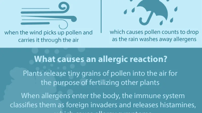 Allergies And You - Solving Your Allergy Triggers image