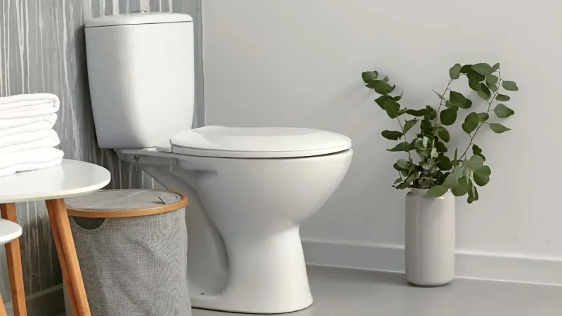 a toilet with a plant on the tank