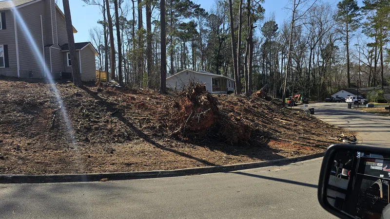 Cleared hillside with uprooted tree and houses in a residential neighborhood on a sunny day.