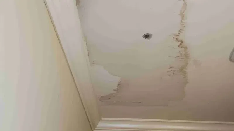 Ceiling corner with water damage and discoloration above beige walls and white crown molding.