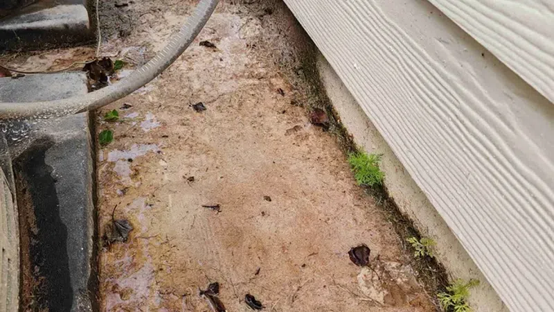 Wet, dirty concrete slab next to house siding with exposed utility cables and some small plants growing.