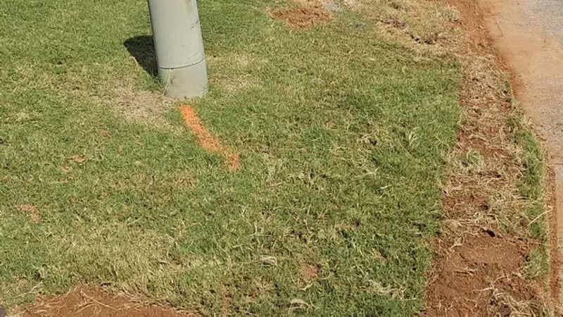 Freshly edged lawn with exposed soil borders near curb and utility box in residential driveway yard.