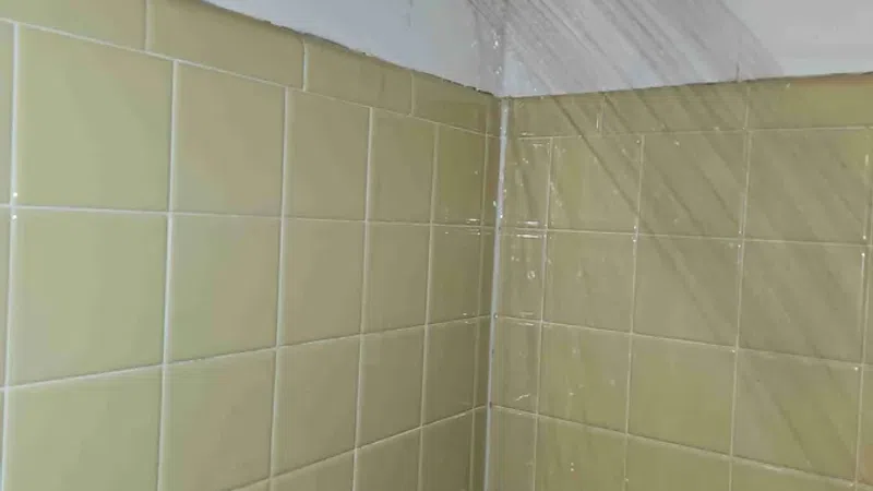 Water flowing from a black showerhead onto yellow tiled bathroom walls with a soap holder and loofah.