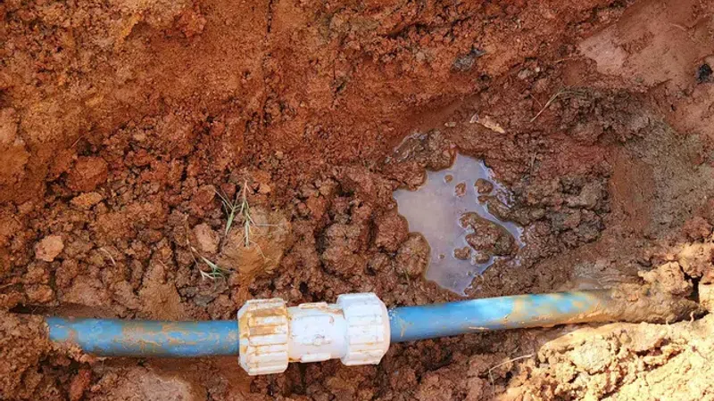 Blue plastic water pipe with white connector buried in reddish-brown soil with some water pooling nearby.