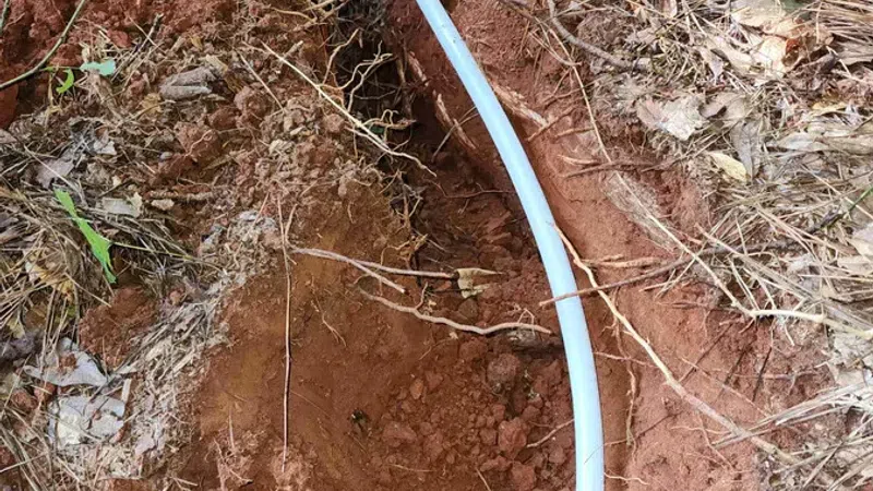 White plastic pipe laid in a shallow trench in reddish soil with dry leaves and roots around it.