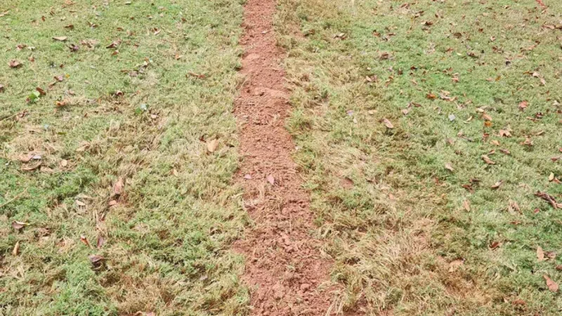 Freshly dug narrow trench cutting through backyard grass leading to a house with bushes and plants.