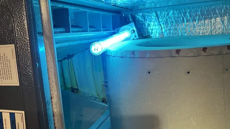 Blue UV light installed inside HVAC unit for air purification and mold prevention.