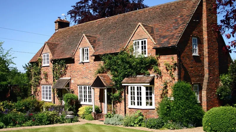Estes Services Mascot  Labrador Retriever lying down with a large brown paw print graphic and text 'Bö' in the background.