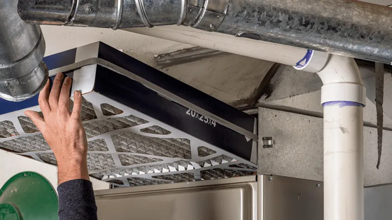 Estes Services Mascot  Labrador Retriever lying down with a large brown paw print graphic and text 'Bö' in the background.