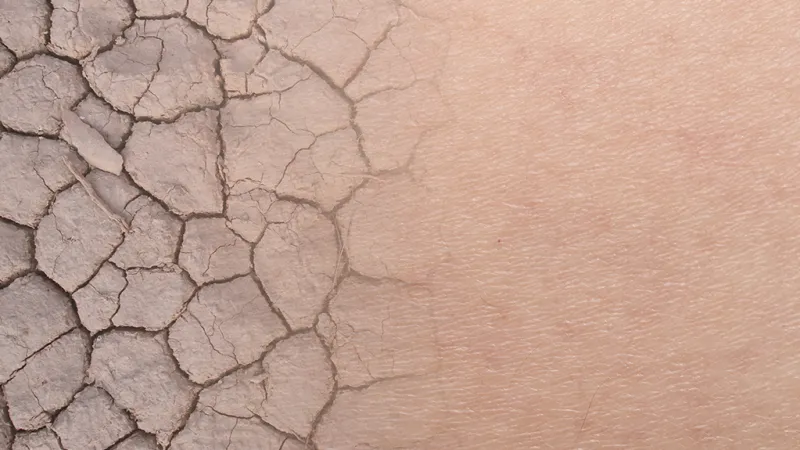 Bo Estes, mascot of Estes Services