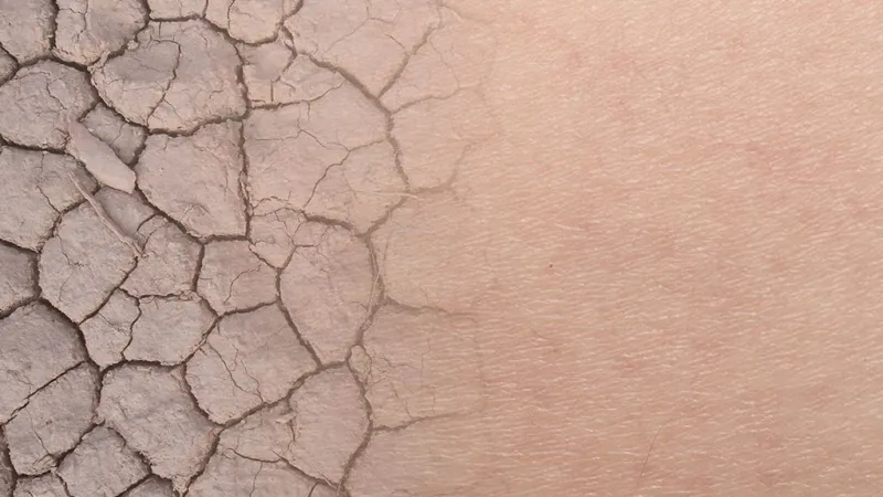 Bo Estes, mascot of Estes Services