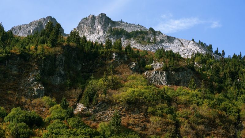 a rocky mountain with trees