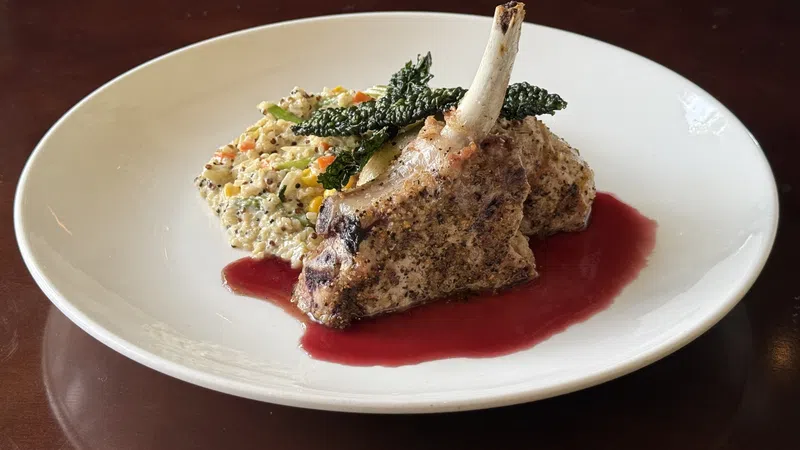 Grilled lamb chops served with quinoa salad and leafy greens over a red wine reduction sauce on a white plate.