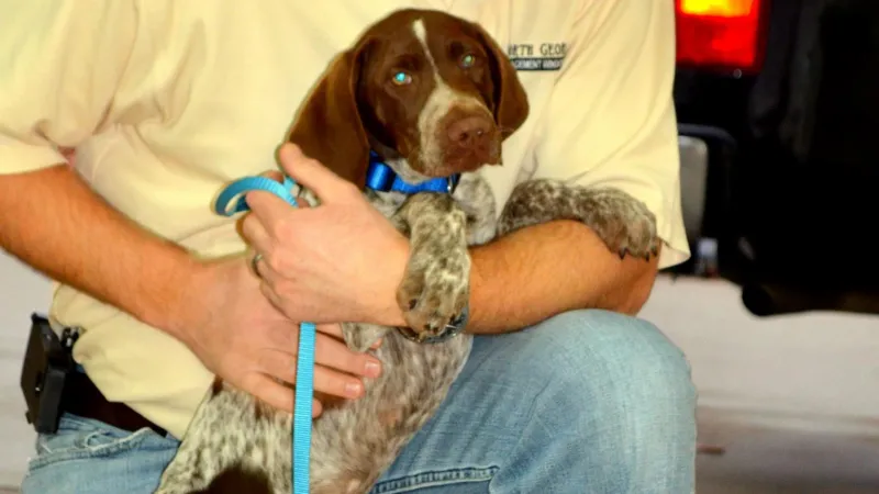 Man in light yellow shirt kneels and hugs a brown and white speckled puppy with a blue collar and leash outdoors.