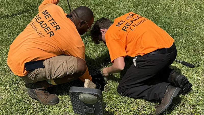 a few men digging in the grass