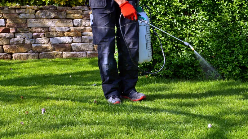 a person holding a golf club