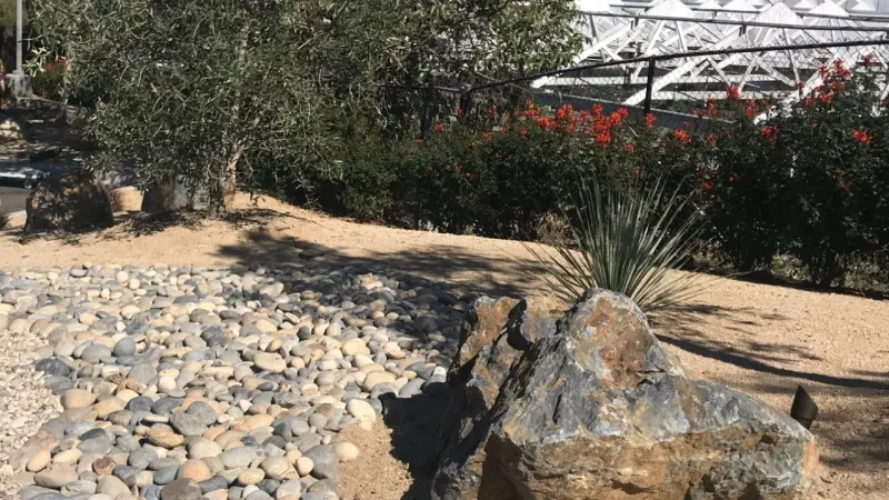 Rock and DG scape