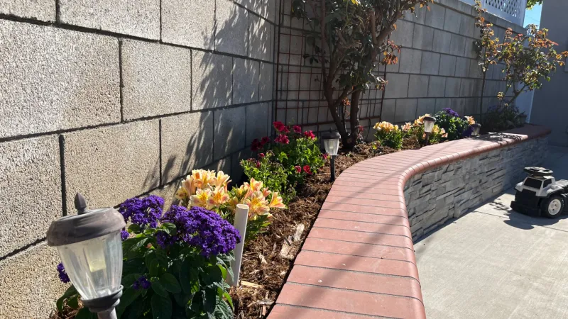 Curved garden bed with colorful flowers, solar garden lights, and a toy car on concrete patio under sunlight.