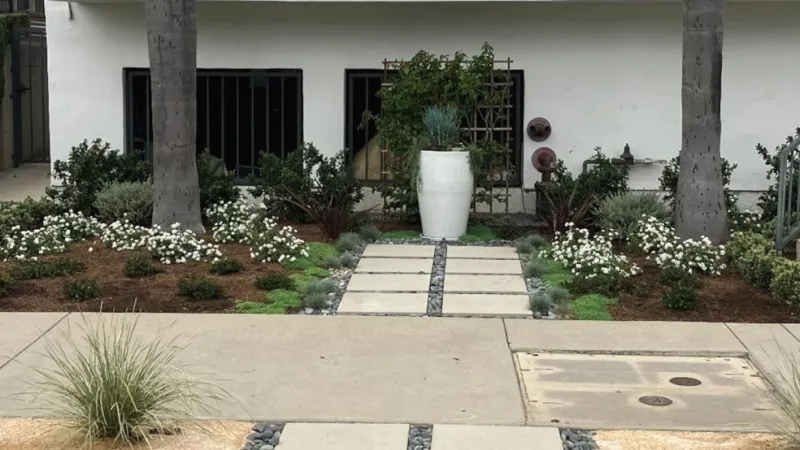 Modern courtyard with concrete pavers, gravel inlays, white flowers, palm trees, and a large white planter near a building.