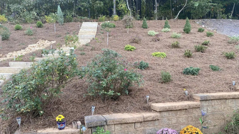 Completed Installation 2023