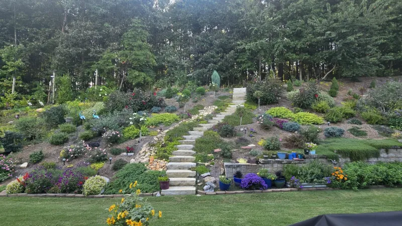 2 years After Installation