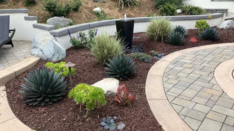 Curved garden bed with succulents, ornamental grasses, a fountain, and stone pathways in a landscaped backyard.