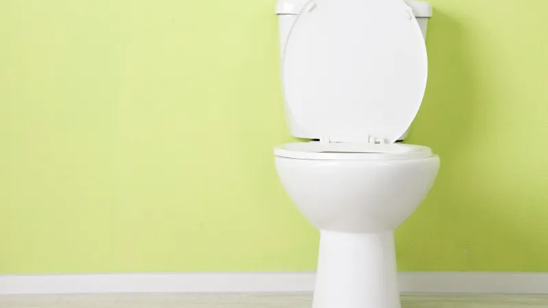 toilet