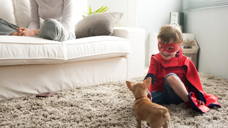 Forsyth indoor air quality solutions