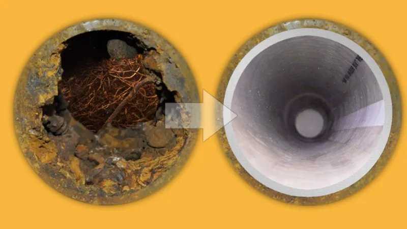 a close-up of a coin