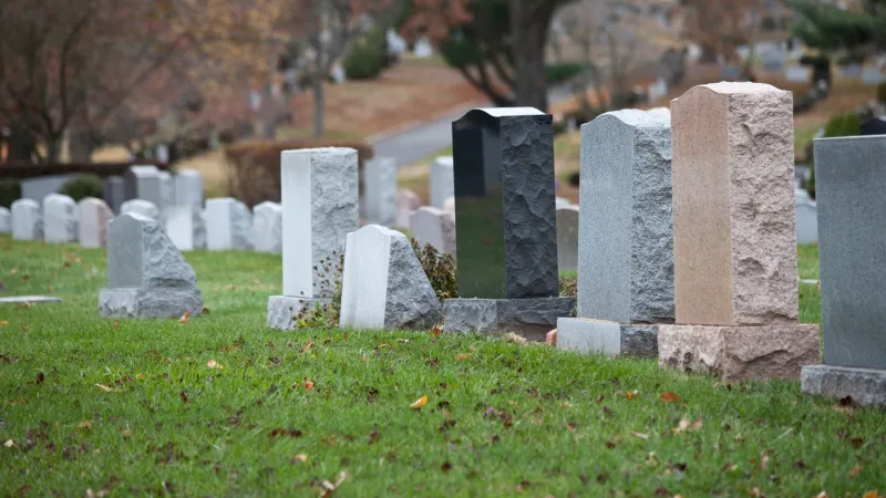 Various tombstones of different shapes and colors in a cemetery with autumn trees in the background