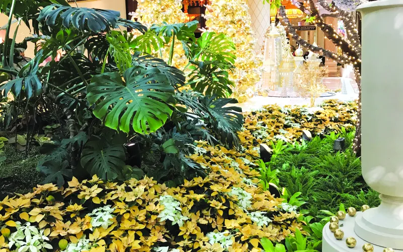 a close up of a flower garden