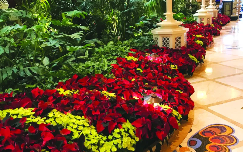 a table topped with lots of colorful flowers