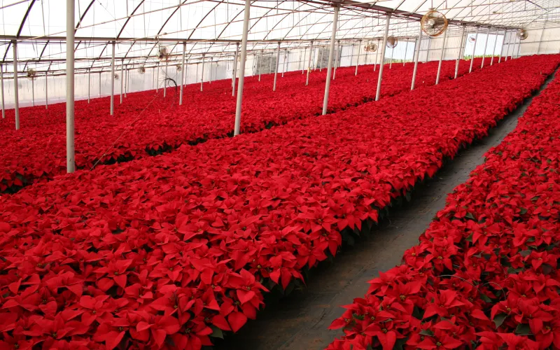 a close up of a fence