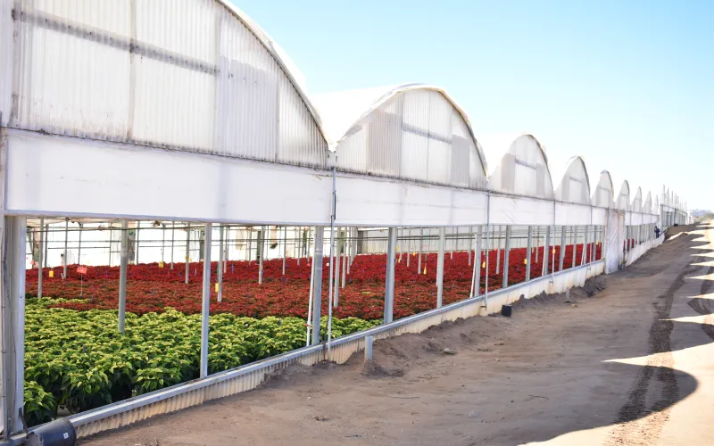 a large long train on a steel track