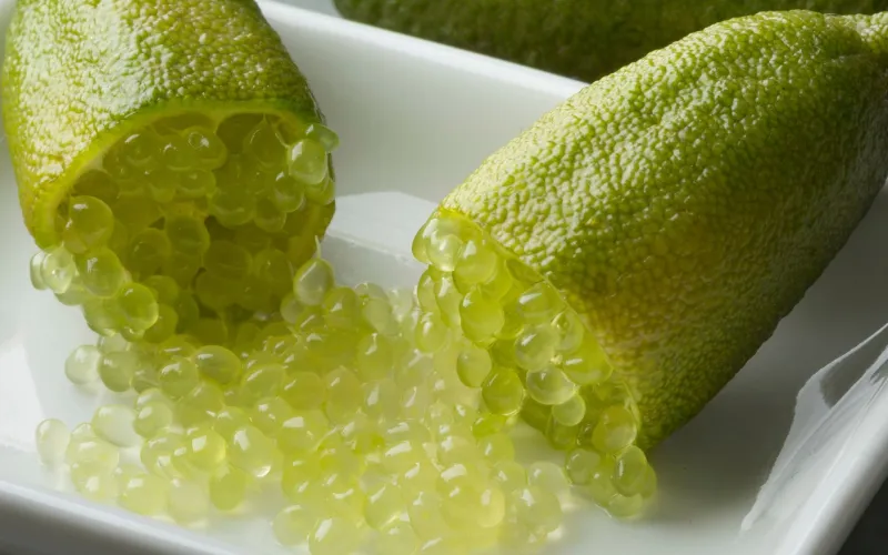 Finger limes sliced open on a white plate with their translucent green caviar-like pearls spilling out.