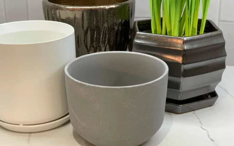 a group of assorted garden planters