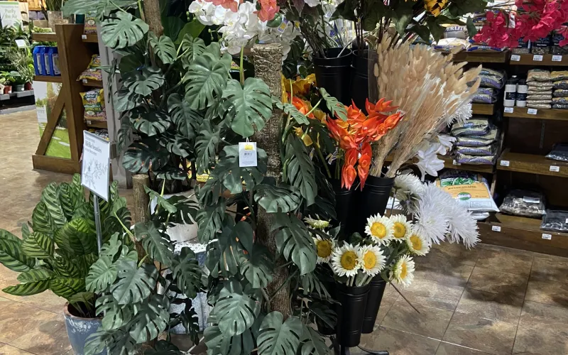 a group of flowers in a store