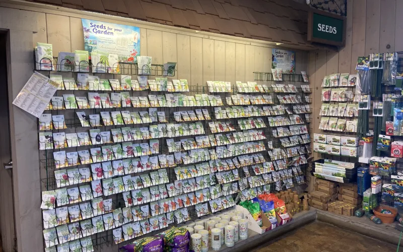 a store with shelves of products