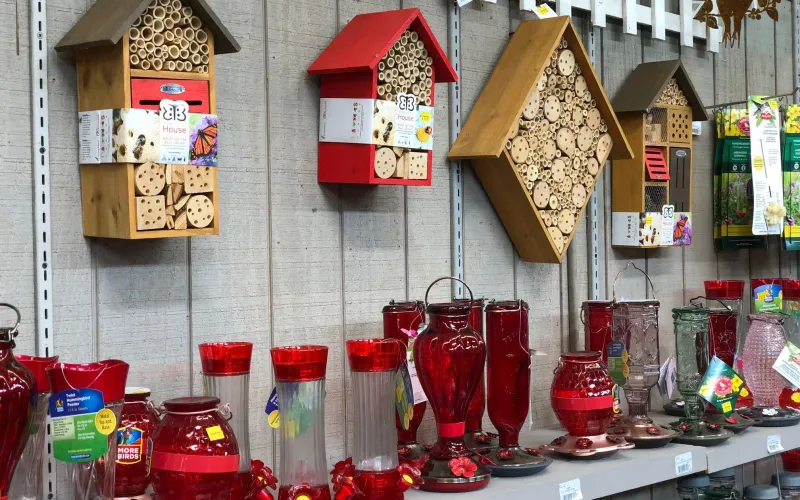 Bughouses on a wall and hummingbird feeders on a shelf in an Armstrong nursery