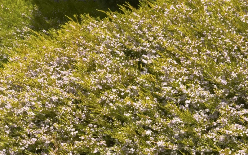 an empty park bench next to a tree