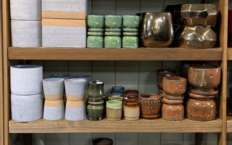 shelves with assorted garden planters