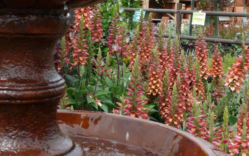 a close up of a flower garden in front of a building