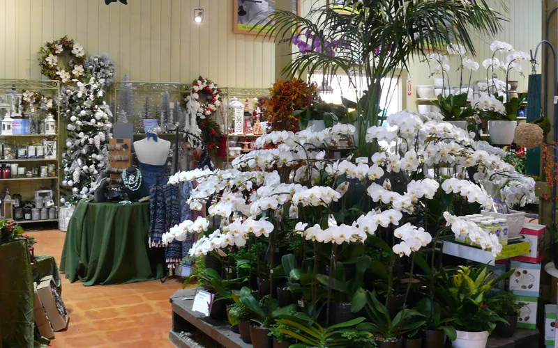 a room filled with furniture and vase of flowers on a table